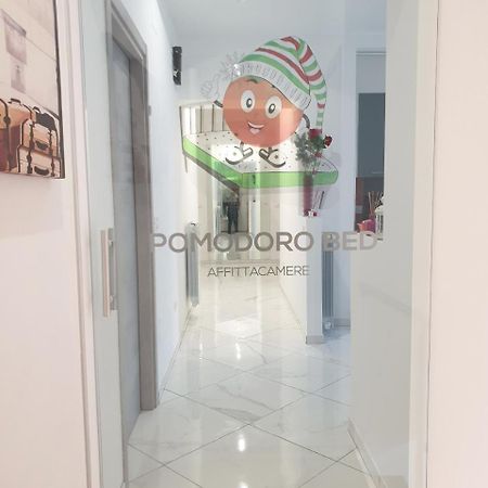 卡斯特罗维拉里Pomodoro Bed住宿加早餐旅馆 外观 照片